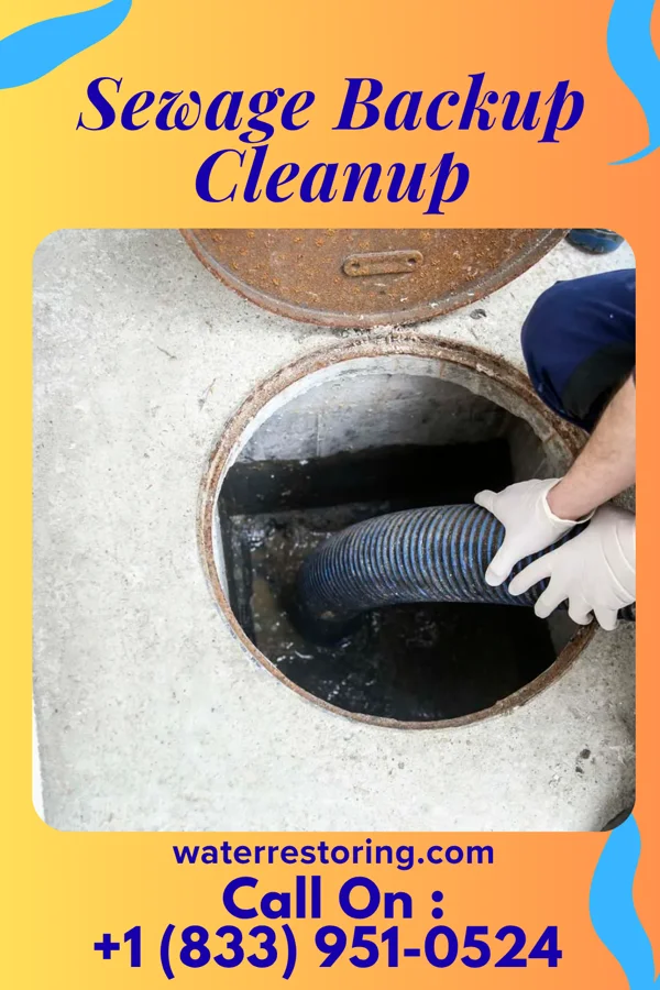Sewage Backup Cleanup in Pennsbury Village, PA
