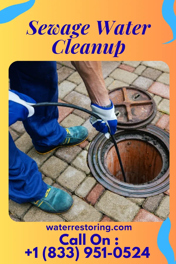 Sewage Water Cleanup in Pennsbury Village, PA
