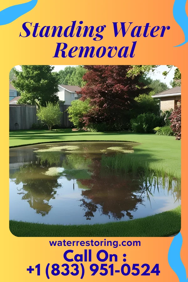 Standing Water Removal in Pennsbury Village, PA